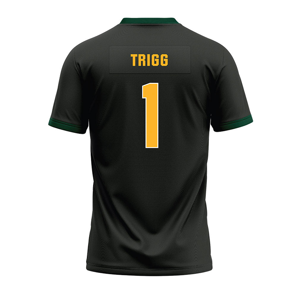 Baylor - NCAA Football : Michael Trigg - Premium Football Jersey