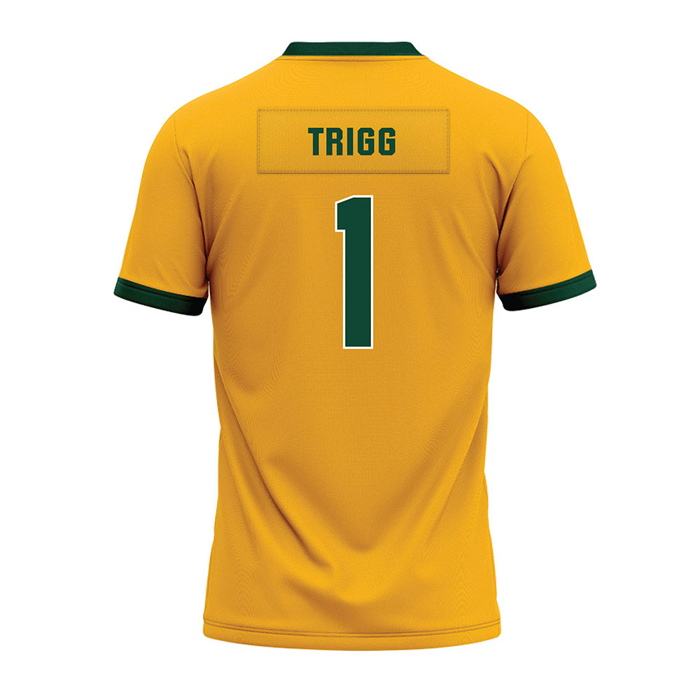 Baylor - NCAA Football : Michael Trigg - Gold Premium Football Jersey