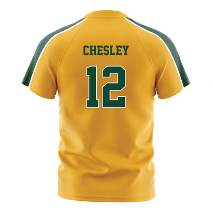 Baylor - NCAA Women's Soccer : Brianna Chesley - Gold Soccer Jersey