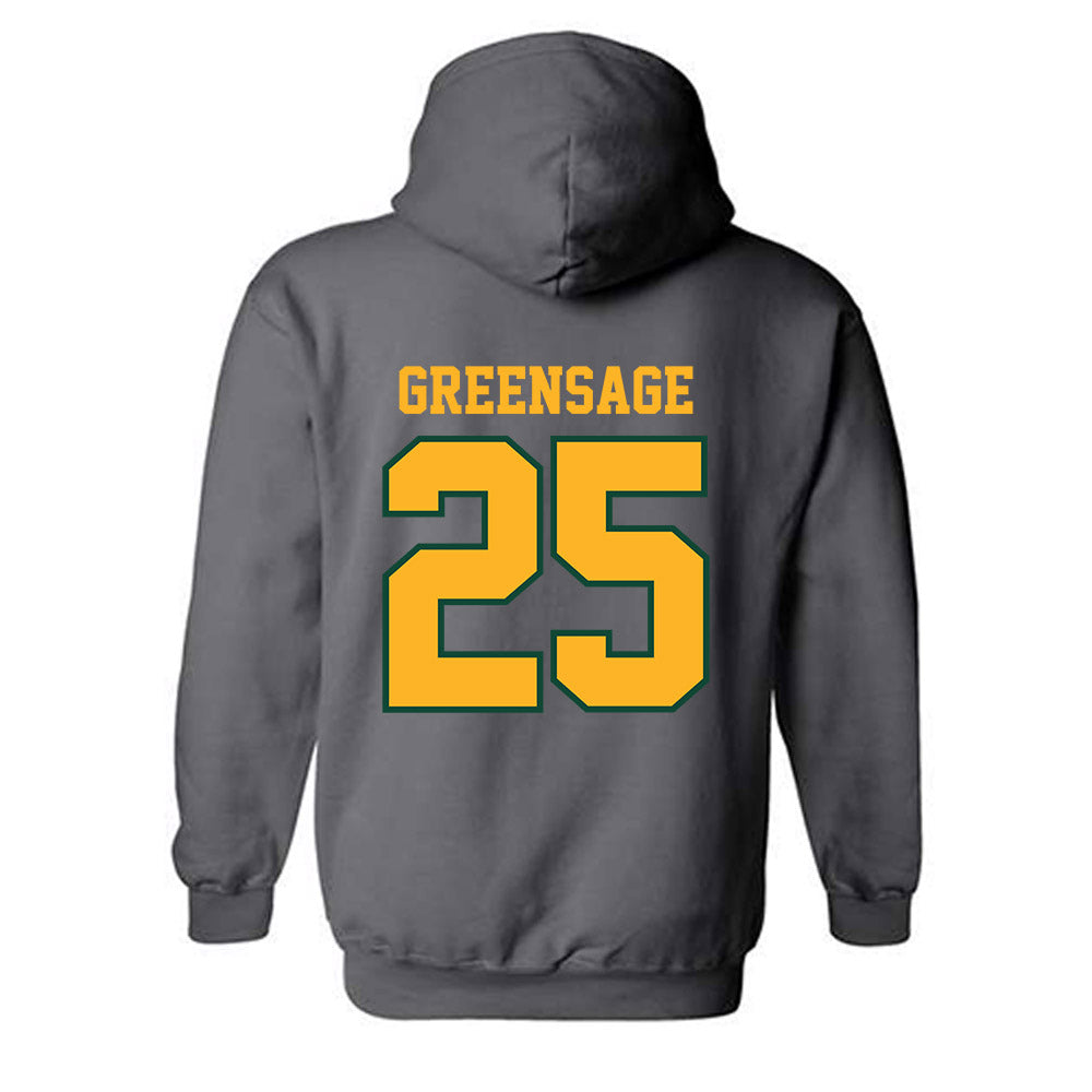 Baylor - NCAA Women's Soccer : Morgan Greensage - Classic Shersey Hooded Sweatshirt