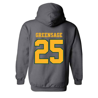 Baylor - NCAA Women's Soccer : Morgan Greensage - Classic Shersey Hooded Sweatshirt