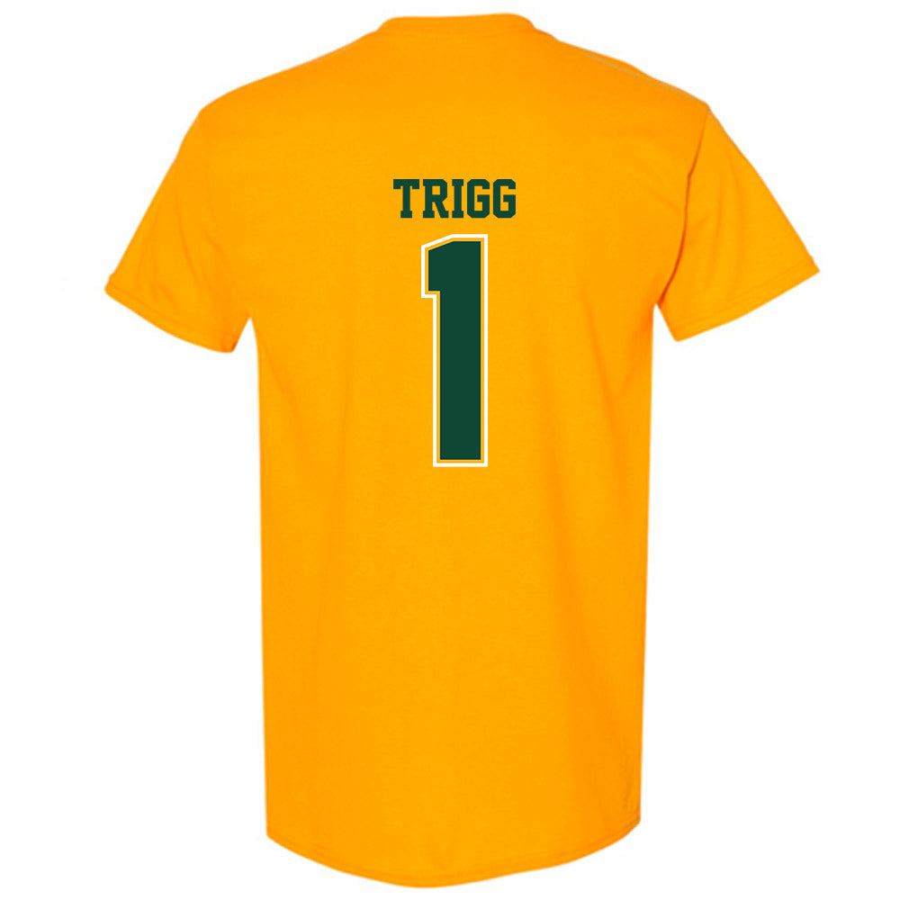 Baylor - NCAA Football : Michael Trigg - Classic Shersey T-Shirt