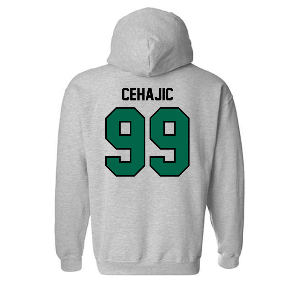 Tulane - NCAA Baseball : Trey Cehajic - Classic Shersey Hooded Sweatshirt-1