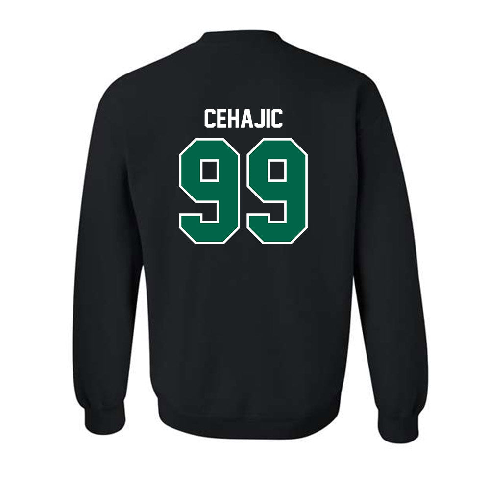 Tulane - NCAA Baseball : Trey Cehajic - Crewneck Sweatshirt