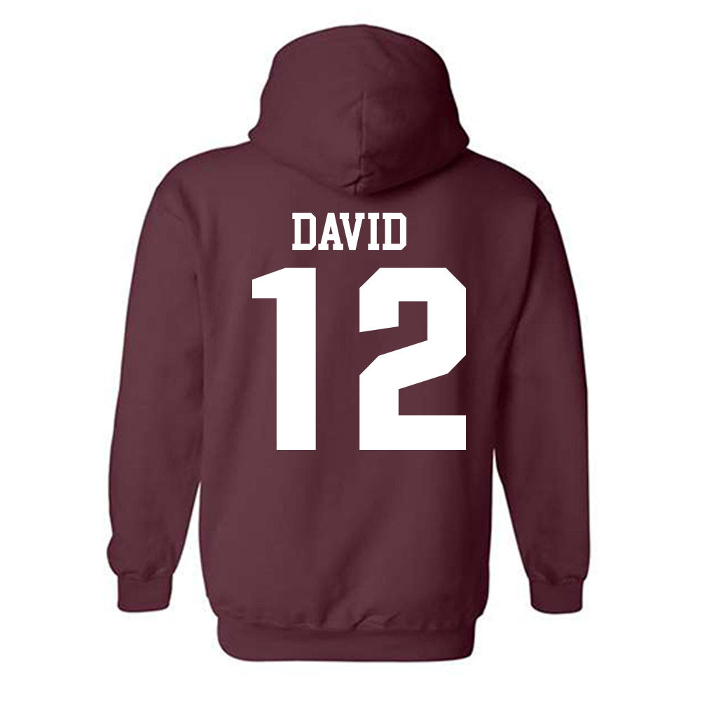 SIU Carbondale - NCAA Women's Soccer : Ziv David - Classic Shersey Hooded Sweatshirt-1
