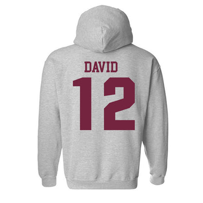 SIU Carbondale - NCAA Women's Soccer : Ziv David - Classic Shersey Hooded Sweatshirt-1