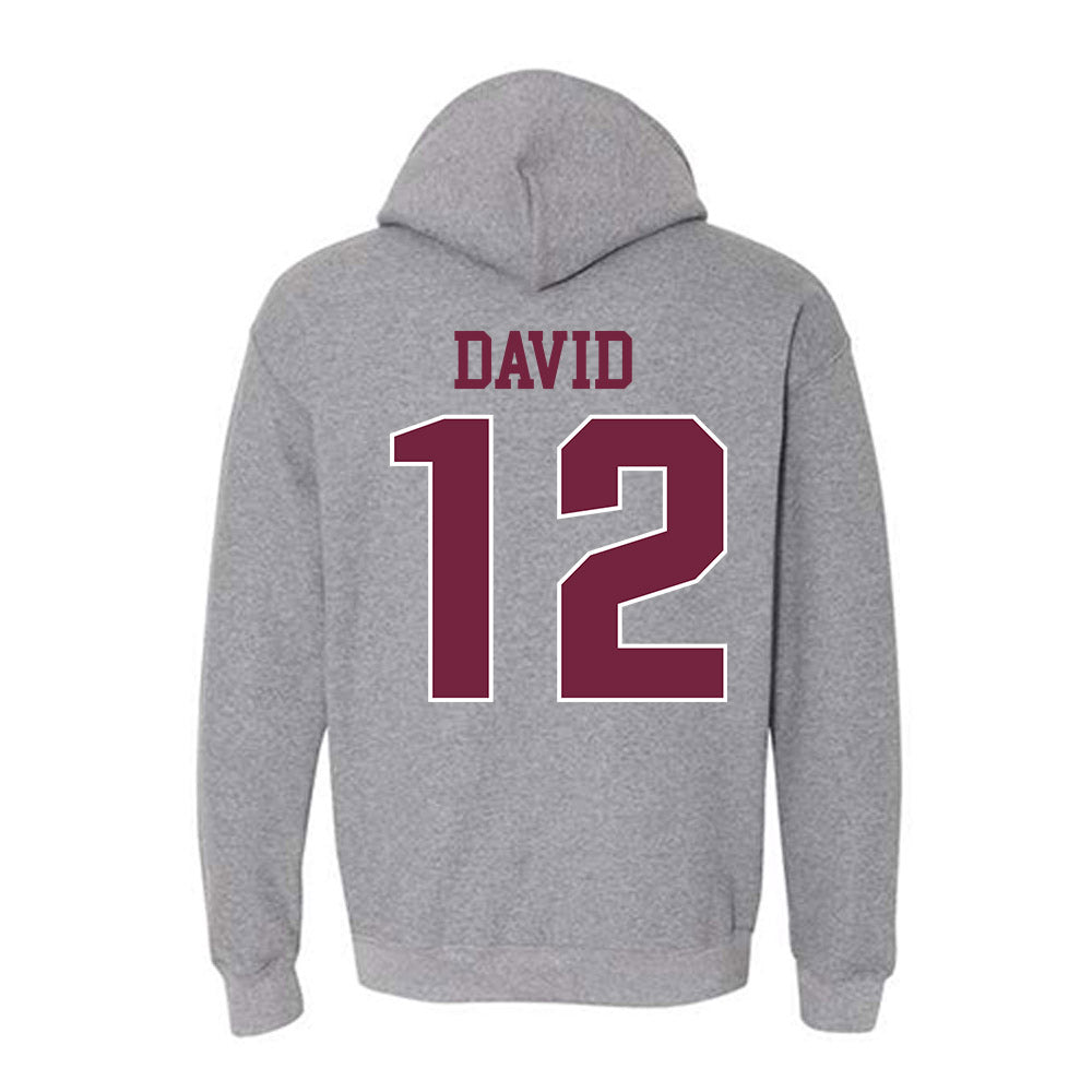 SIU Carbondale - NCAA Women's Soccer : Ziv David - Classic Shersey Hooded Sweatshirt-1
