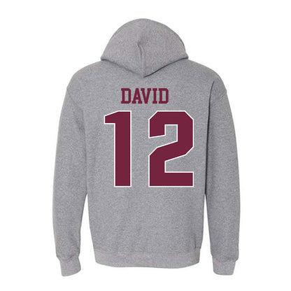 SIU Carbondale - NCAA Women's Soccer : Ziv David - Classic Shersey Hooded Sweatshirt-1