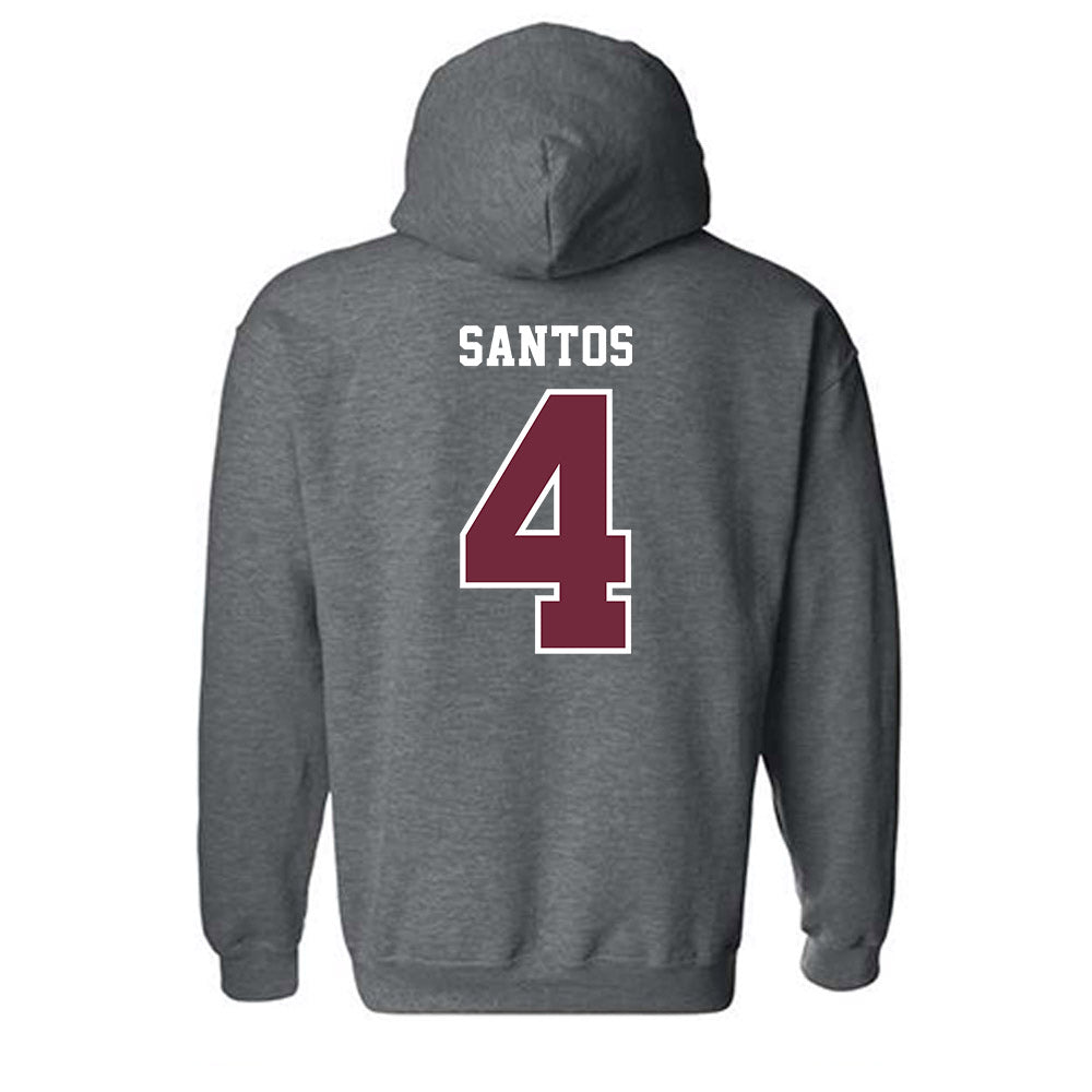 FDU - NCAA Baseball : Aaron Santos - Hooded Sweatshirt-1