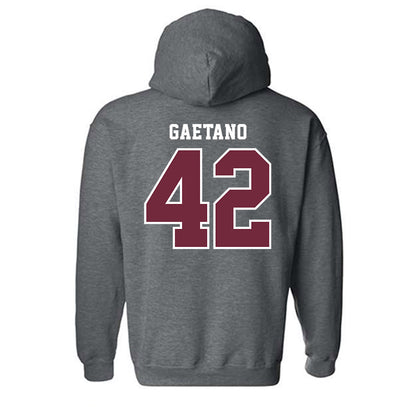 FDU - NCAA Baseball : Tyler Gaetano - Hooded Sweatshirt-1