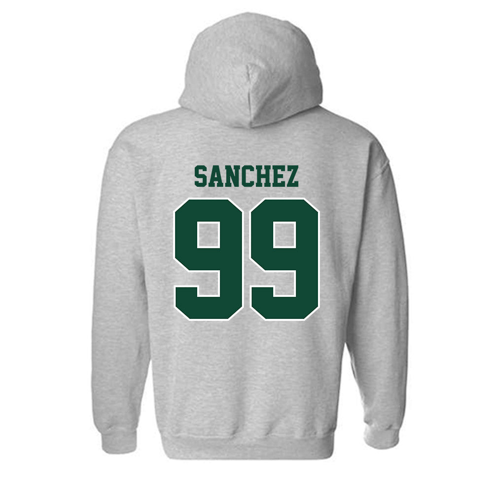 Portland State - NCAA Softball : Elise Sanchez - Classic Shersey Hooded Sweatshirt-1