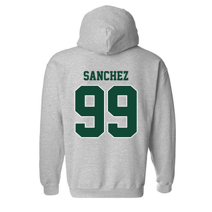 Portland State - NCAA Softball : Elise Sanchez - Classic Shersey Hooded Sweatshirt-1