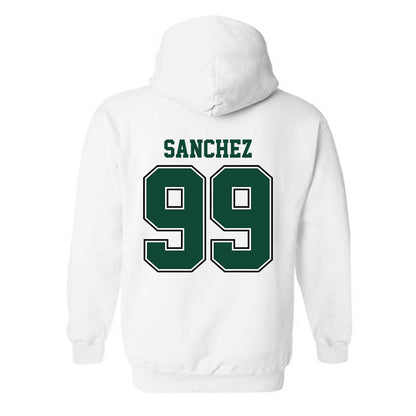 Portland State - NCAA Softball : Elise Sanchez - Classic Shersey Hooded Sweatshirt-1