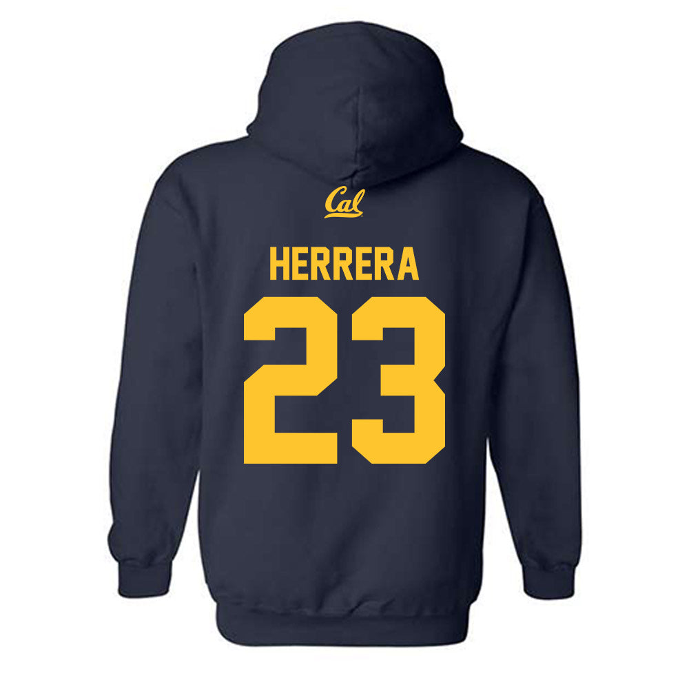 UC Berkeley - NCAA Softball : Alyssa Herrera - Sports Shersey Hooded Sweatshirt-1