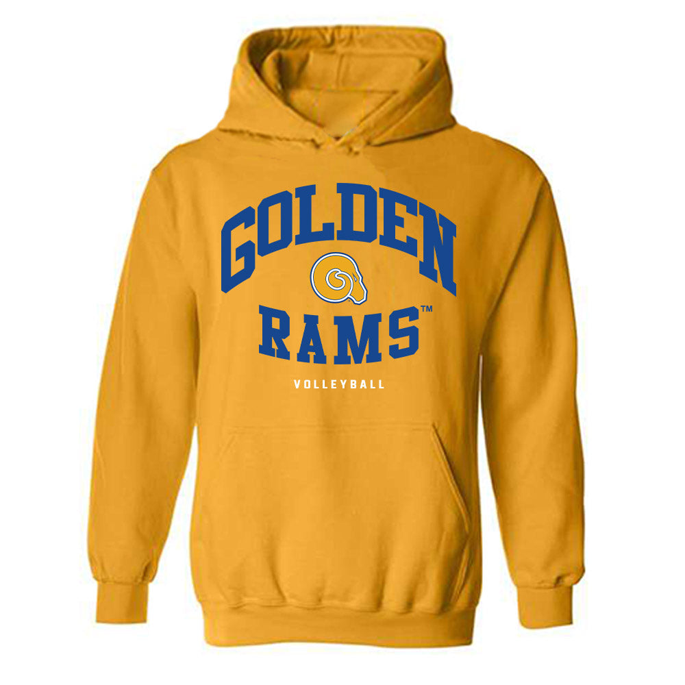 Albany State - NCAA Women's Volleyball : Aleiah Carr - Hooded Sweatshirt-0
