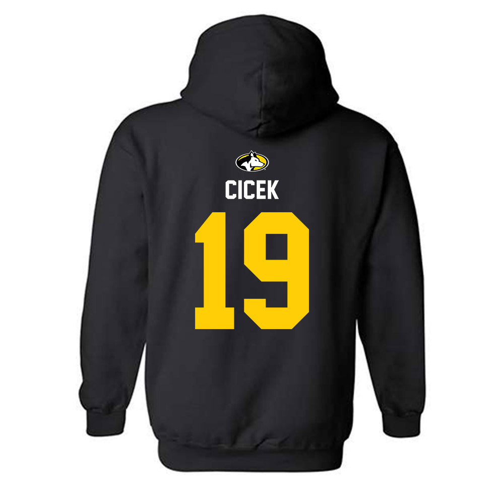 Michigan Tech - NCAA Men's Ice Hockey : Michael Cicek - Generic Shersey Hooded Sweatshirt-1