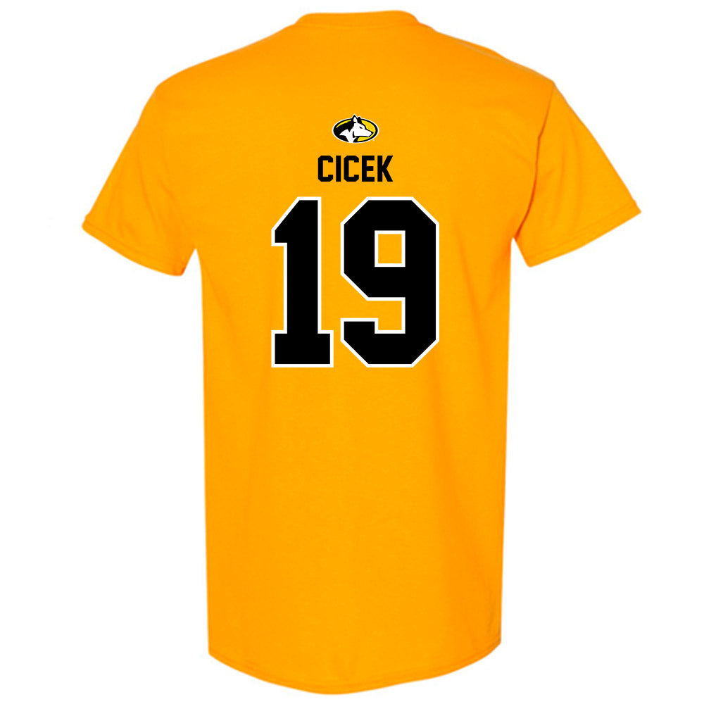 Michigan Tech - NCAA Men's Ice Hockey : Michael Cicek - Generic Shersey T-Shirt-1