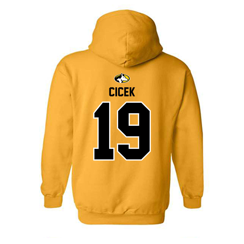 Michigan Tech - NCAA Men's Ice Hockey : Michael Cicek - Generic Shersey Hooded Sweatshirt-1