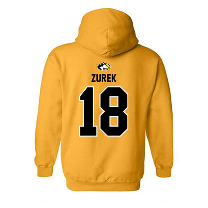 Michigan Tech - NCAA Women's Volleyball : Rachel Zurek - Generic Shersey Hooded Sweatshirt-1