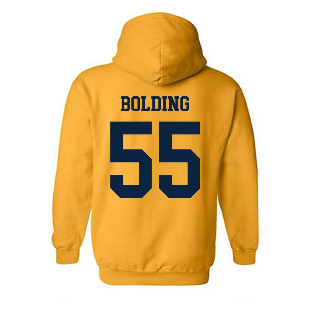 Toledo - NCAA Softball : Samantha Bolding - Classic Shersey Hooded Sweatshirt-1