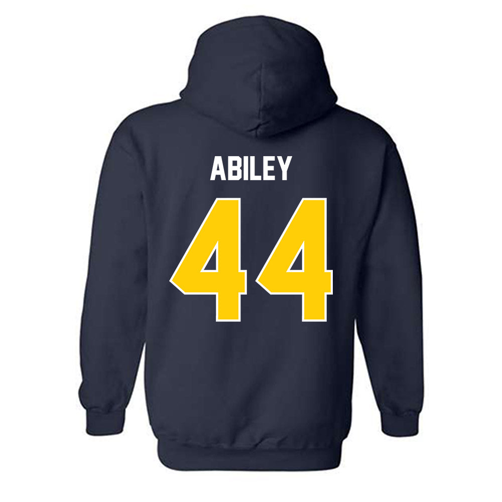 Toledo - NCAA Softball : Payton Abiley - Classic Shersey Hooded Sweatshirt-1