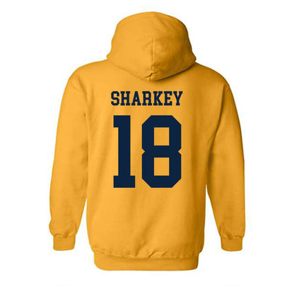 Toledo - NCAA Women's Volleyball : Caylee Sharkey - Classic Shersey Hooded Sweatshirt-1