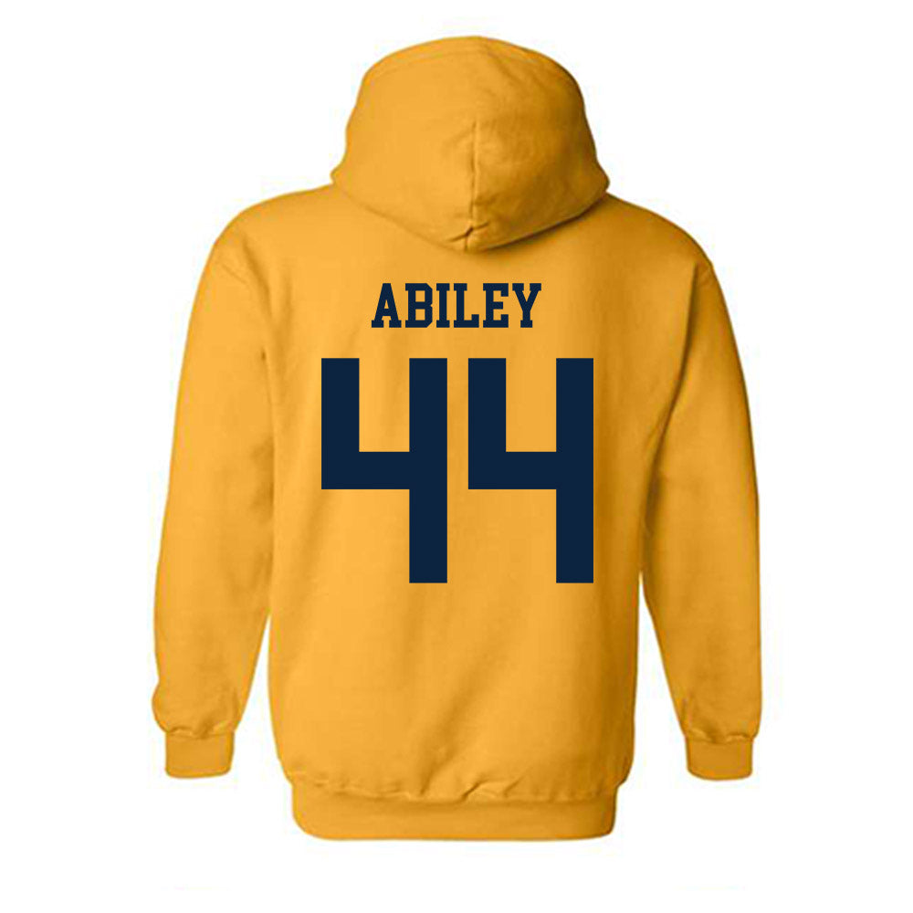 Toledo - NCAA Softball : Payton Abiley - Classic Shersey Hooded Sweatshirt-1