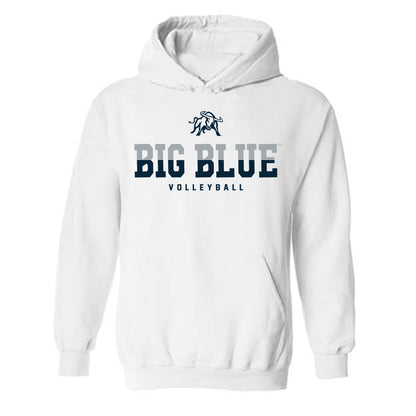 Utah State - NCAA Women's Volleyball : Hailey Spencer - Classic Shersey Hooded Sweatshirt-0