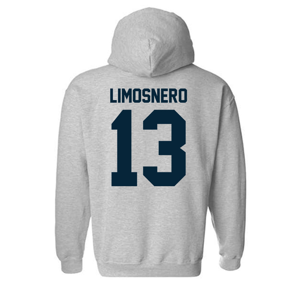 Utah State - NCAA Softball : Carly Limosnero - Hooded Sweatshirt-1