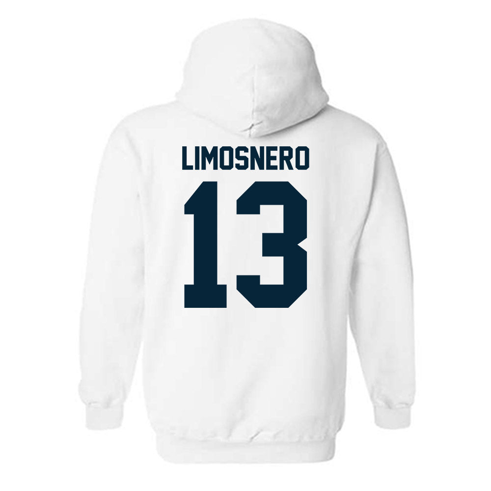 Utah State - NCAA Softball : Carly Limosnero - Hooded Sweatshirt-1