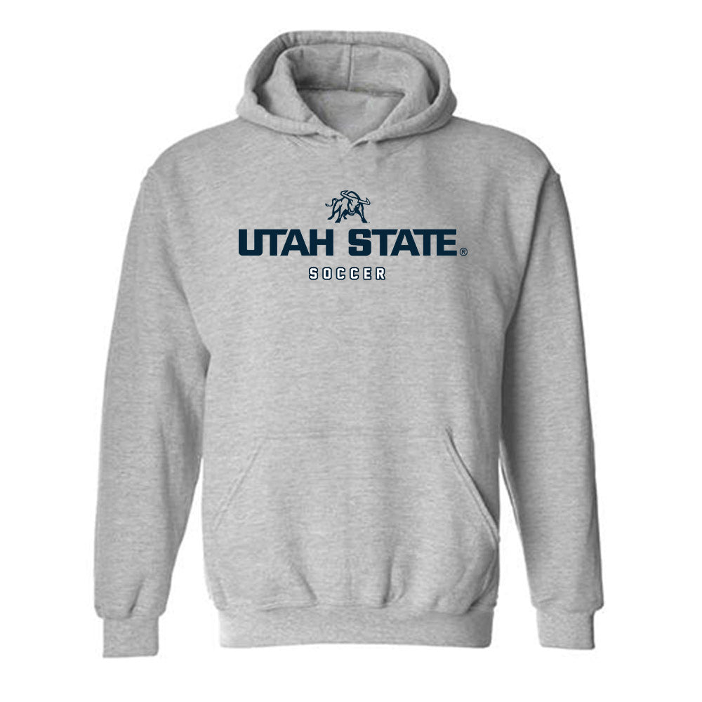 Utah State - NCAA Women's Soccer : Summer Diamond - Hooded Sweatshirt-0