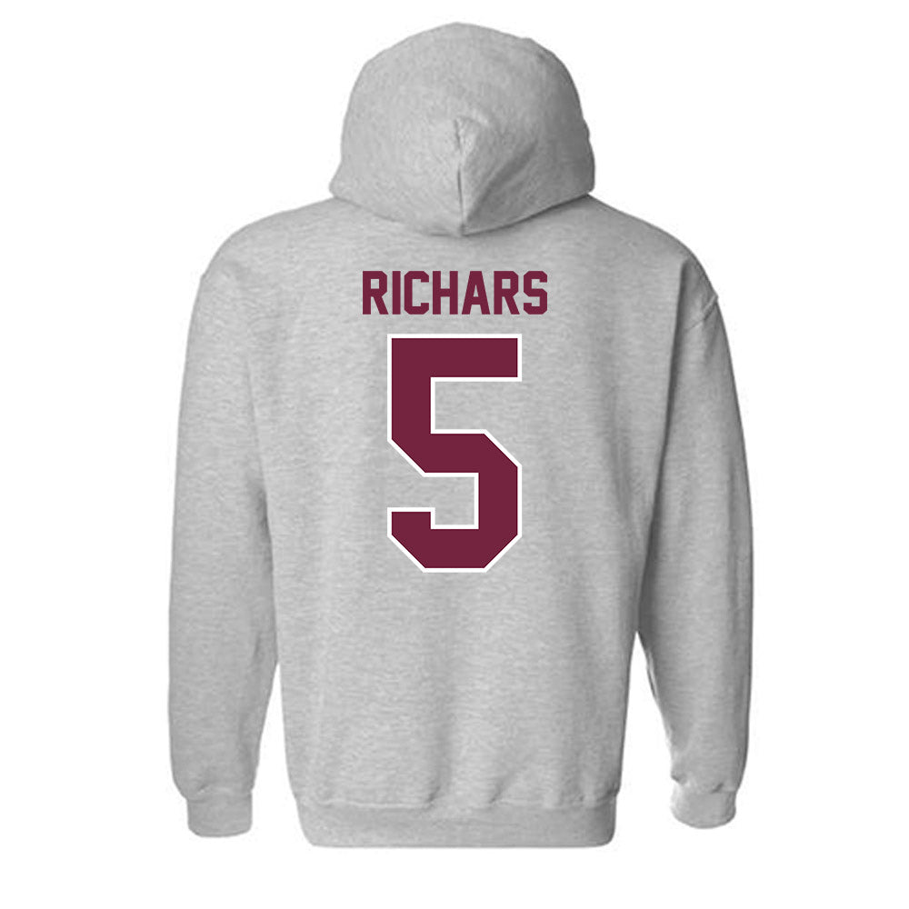 SIU Carbondale - NCAA Baseball : Grant Richars - Hooded Sweatshirt-1
