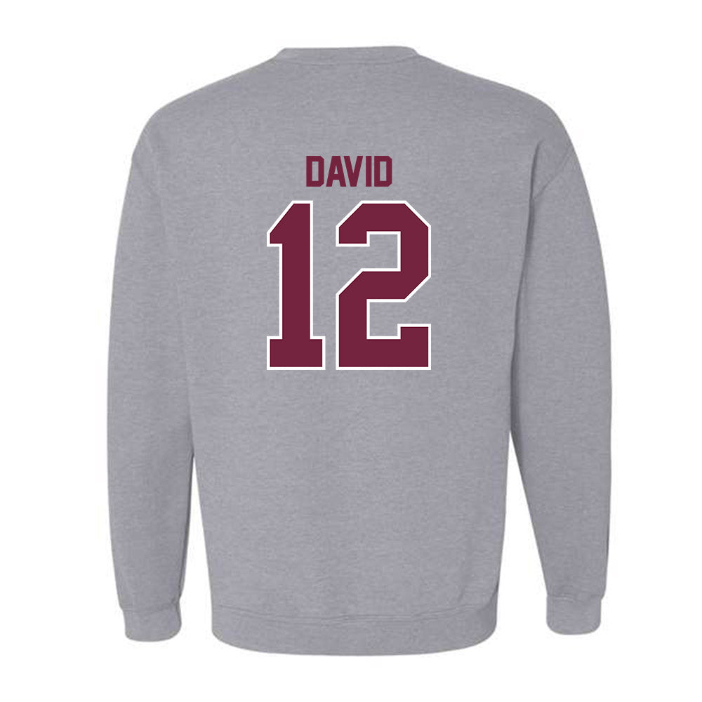 SIU Carbondale - NCAA Women's Soccer : Ziv David - Crewneck Sweatshirt-1