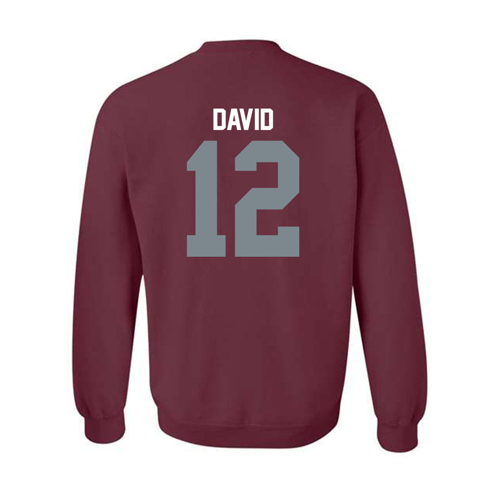 SIU Carbondale - NCAA Women's Soccer : Ziv David - Crewneck Sweatshirt-1