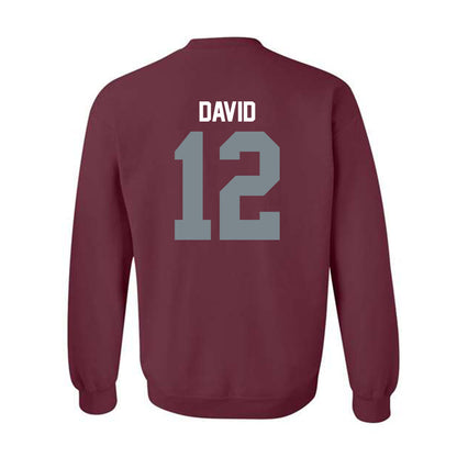 SIU Carbondale - NCAA Women's Soccer : Ziv David - Crewneck Sweatshirt-1