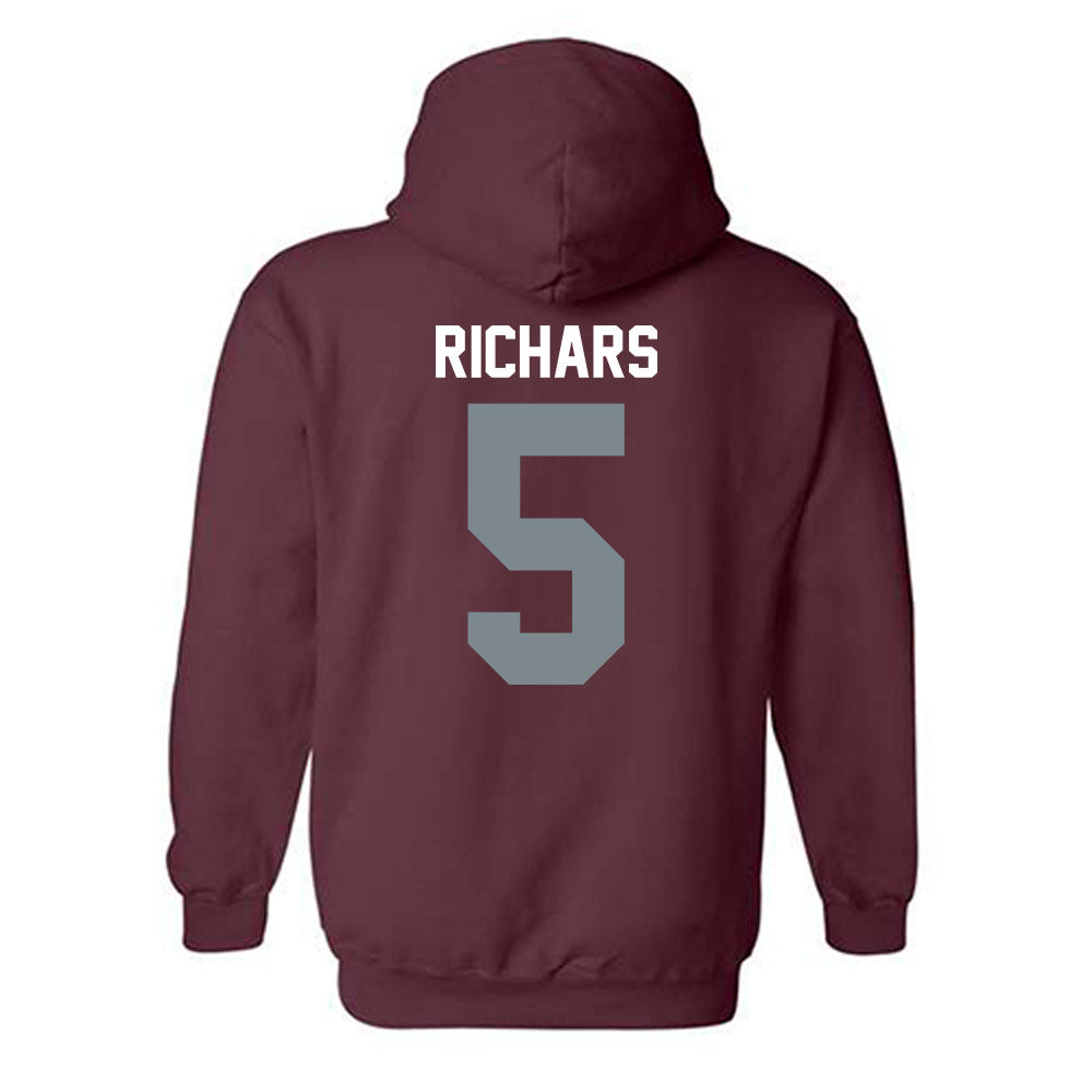 SIU Carbondale - NCAA Baseball : Grant Richars - Hooded Sweatshirt-1