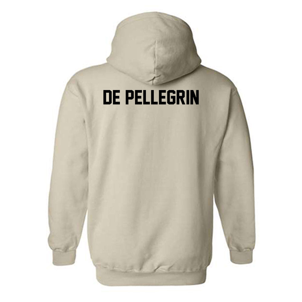 Idaho State - NCAA Men's Tennis : Valentino De Pellegrin - Classic Shersey Hooded Sweatshirt-1