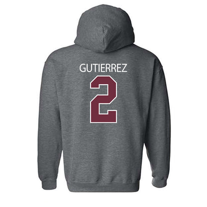 Montana - NCAA Softball : Brianna Gutierrez - Classic Shersey Hooded Sweatshirt-1