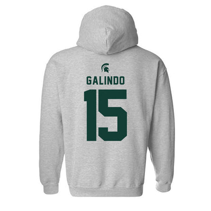 Michigan State - NCAA Softball : Alyssa Galindo - Generic Shersey Hooded Sweatshirt-1