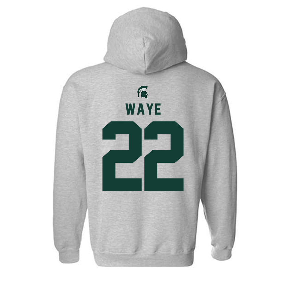 Michigan State - NCAA Women's Volleyball : Carmen Waye - Generic Shersey Hooded Sweatshirt-1