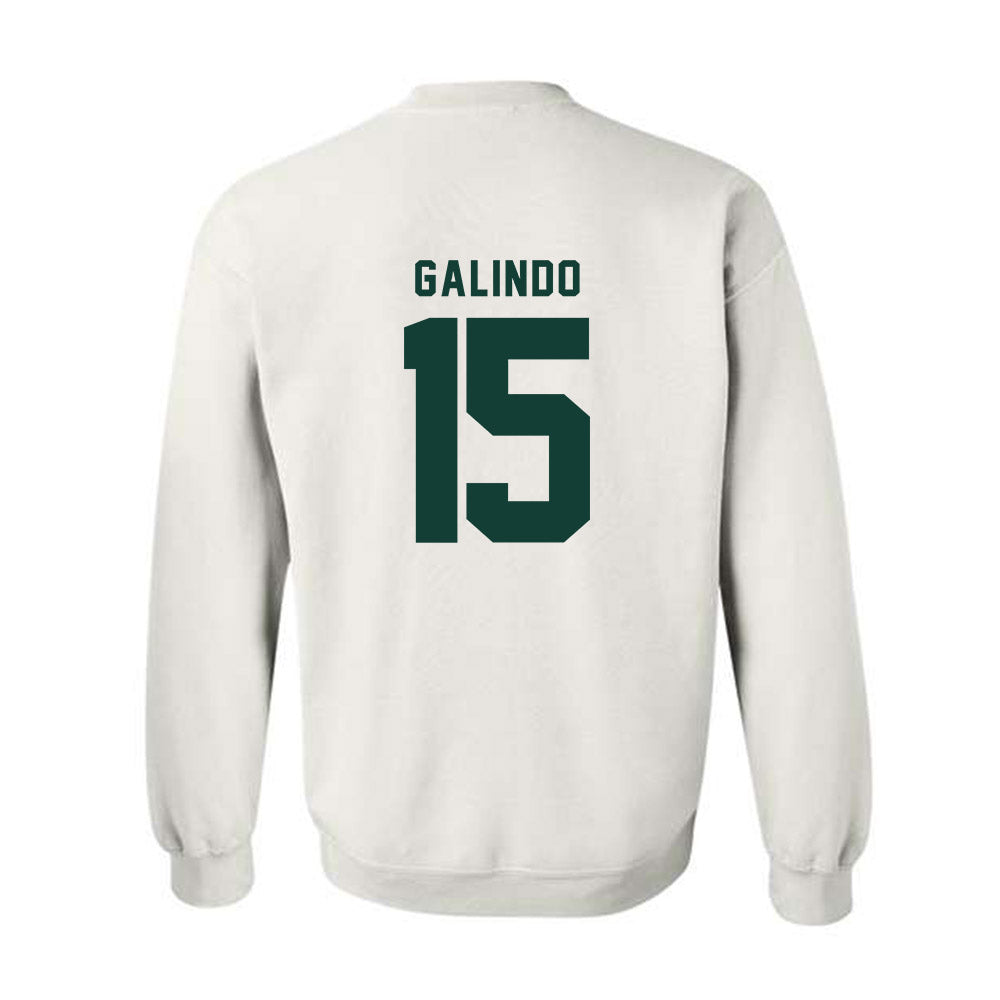Michigan State - NCAA Softball : Alyssa Galindo - Generic Shersey Crewneck Sweatshirt-1