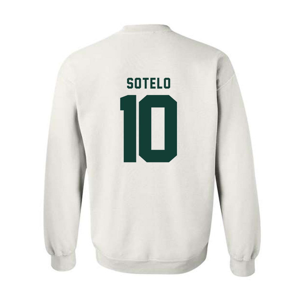 Michigan State - NCAA Women's Basketball : Ines Sotelo - Generic Shersey Crewneck Sweatshirt-1