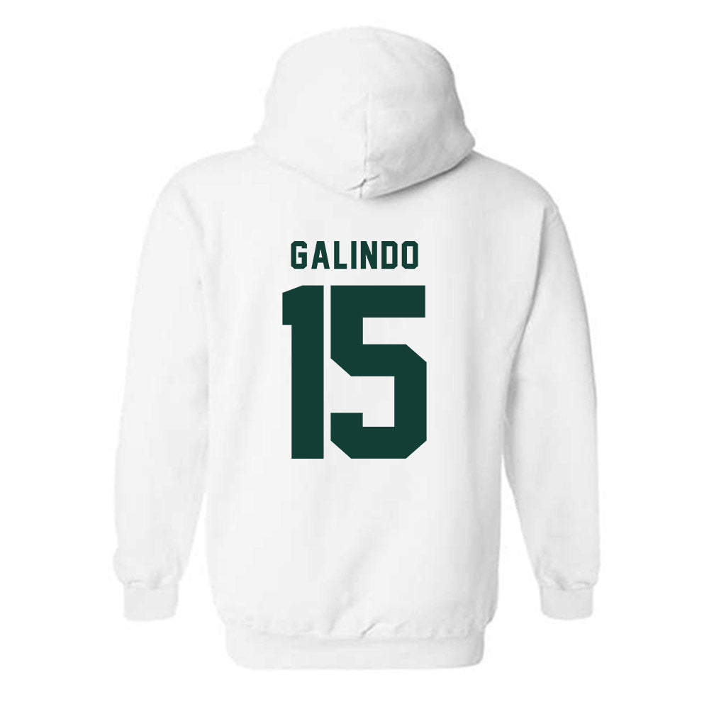 Michigan State - NCAA Softball : Alyssa Galindo - Generic Shersey Hooded Sweatshirt-1