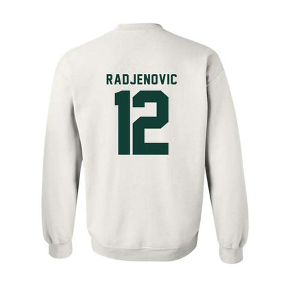 Michigan State - NCAA Men's Tennis : Vuk Radjenovic - Generic Shersey Crewneck Sweatshirt-1