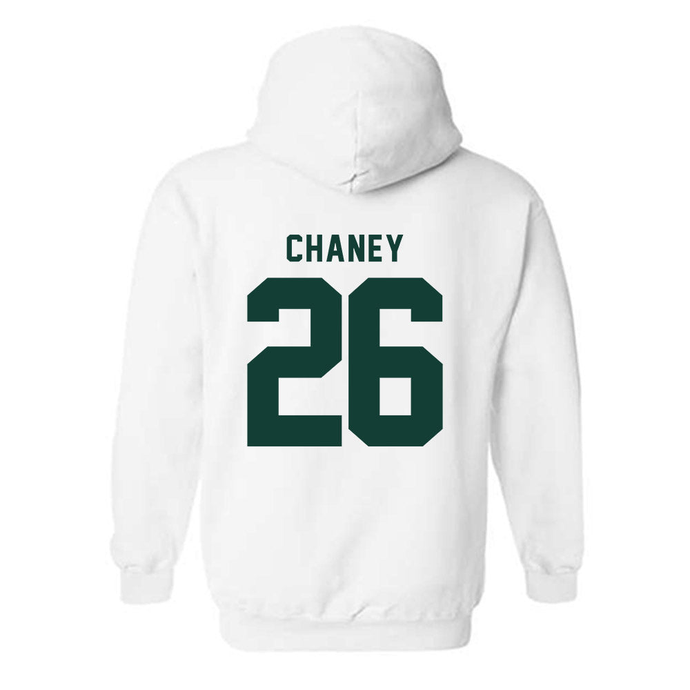 Michigan State - NCAA Football : Stone Chaney - Hooded Sweatshirt