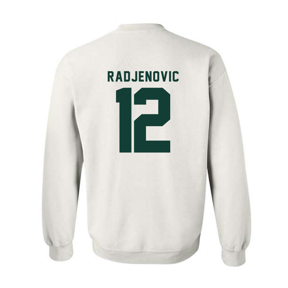 Michigan State - NCAA Men's Tennis : Vuk Radjenovic - Classic Shersey Crewneck Sweatshirt-1