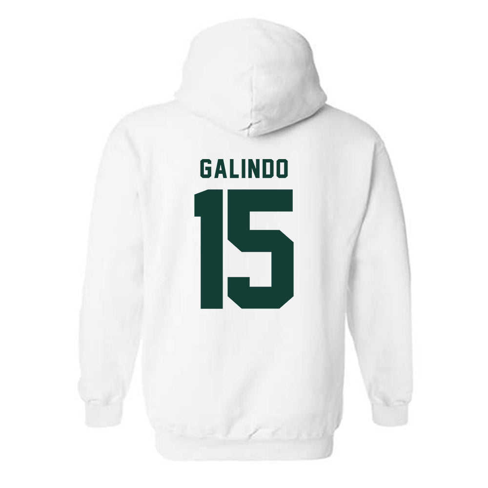 Michigan State - NCAA Softball : Alyssa Galindo - Classic Shersey Hooded Sweatshirt-1