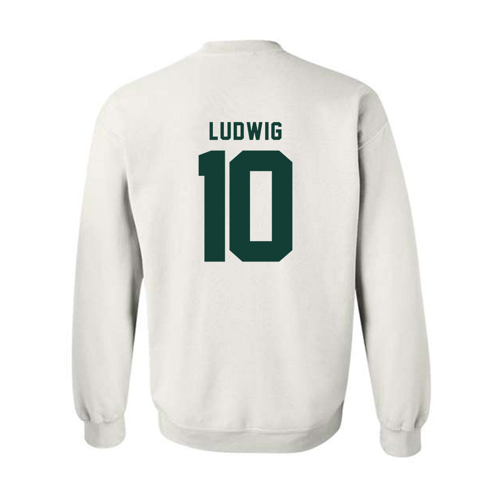 Michigan State - NCAA Men's Soccer : Richie Ludwig - Classic Shersey Crewneck Sweatshirt