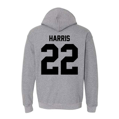 Pitt State - NCAA Baseball : Cooper Harris Harris - Hooded Sweatshirt-3
