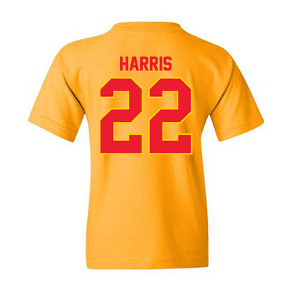 Pitt State - NCAA Baseball : Cooper Harris Harris - Youth T-Shirt-2